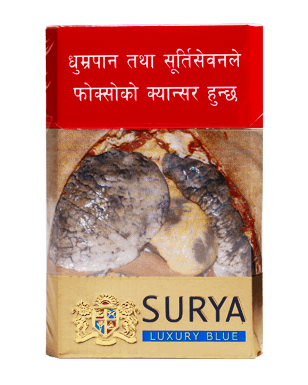 surya cigarette Buy Surya Fusion Packet from Barmandoo